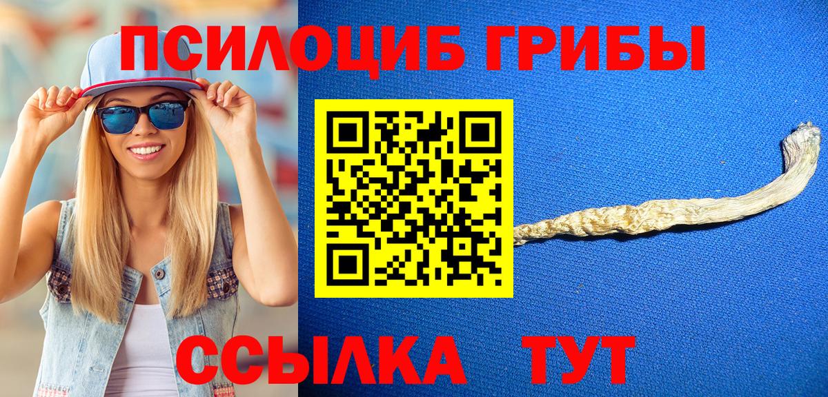 Новокубанск  Псилоцибиновые грибы Psilocybe  Галлюциногенные грибы мицелий  Вход с VPN 