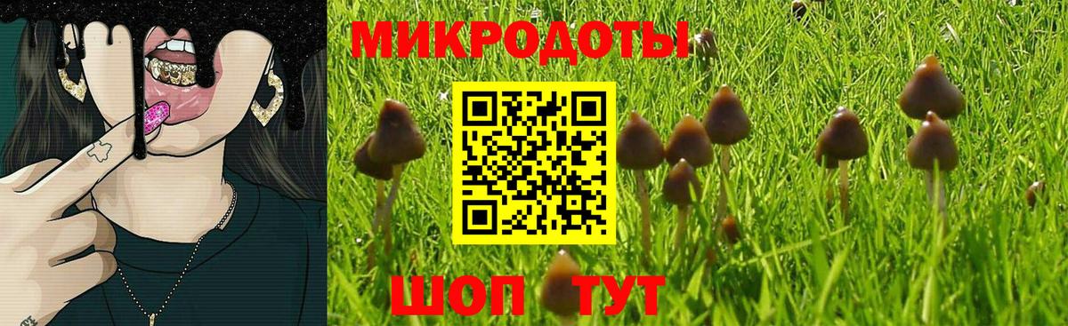 Псилоцибиновые грибы ЛСД Новокубанск